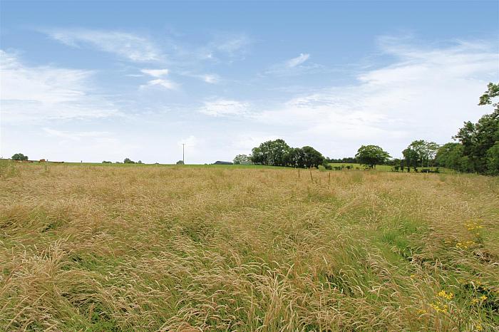  Agricultural Land 180m SE Of 35 Blackstone Road, Ballymena